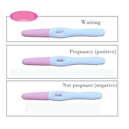 pregnancy-test kit