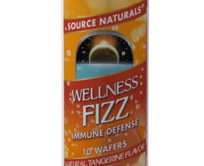 Source Naturals Wellness Fizz Tangerine 10 Wafers